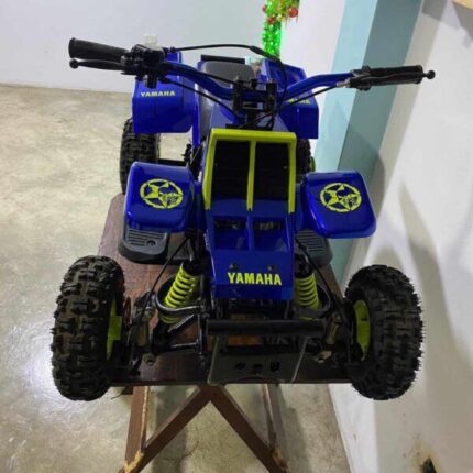 49cc 2Stroke Kids Banshee
