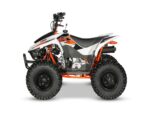 Kayo AY70 - 70cc 4 stroke petrol quad bike.