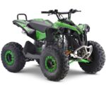 Brand new Monster 125cc 4-stroke electric start petrol quad bike.