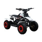 Banshee 50cc 2Stroke Quad Bike - Electric Start - Image 5