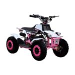 Banshee 50cc 2Stroke Quad Bike - Electric Start - Image 5