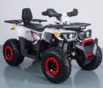 Tao Braves 170cc Quad Bike