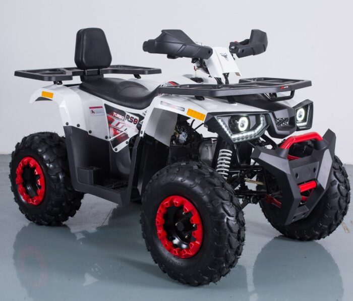 Tao Braves 170cc Quad Bike - Image 1