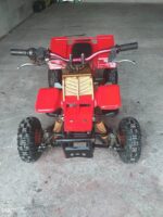 49cc Kids Banshee ATV