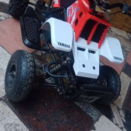 49CC GAS POWERED KIDS ATV