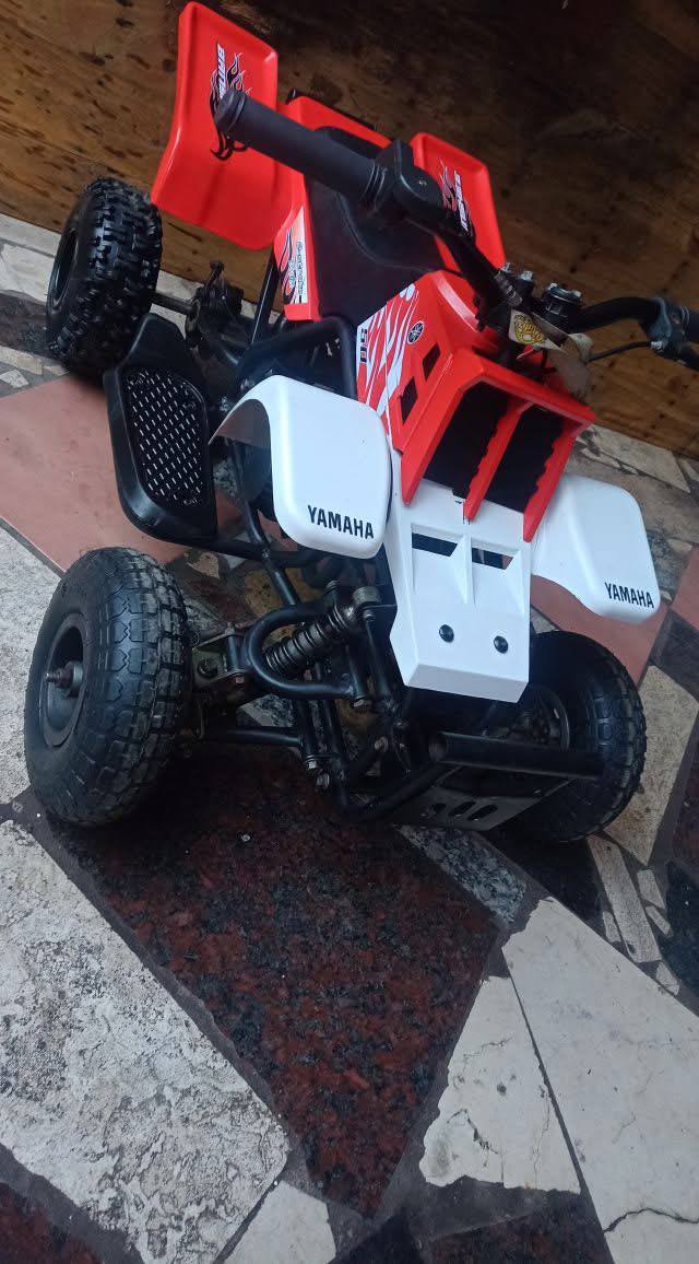 photo_5859534306551122388_y 49CC GAS POWERED KIDS ATV