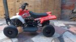 49CC GAS POWERED KIDS ATV