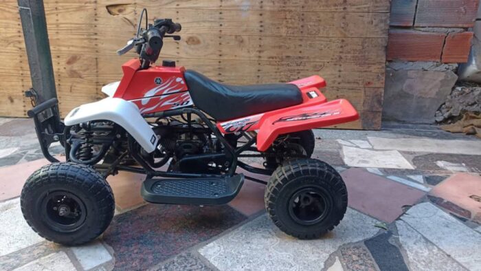 49CC GAS POWERED KIDS ATV