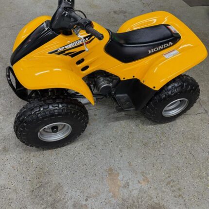 2004 Honda trx90