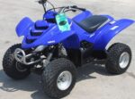 2005 Yamaha Raptor 50 - Image 9