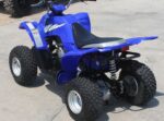 2005 Yamaha Raptor 50 - Image 4
