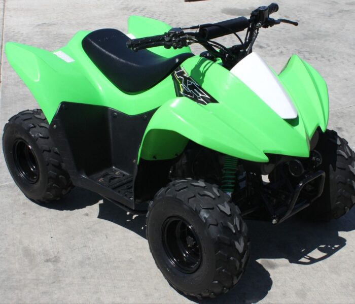 2019 Kawasaki KFX 50