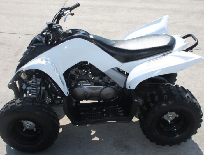 2013 Yamaha Raptor 90 - Image 8