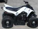 2013 Yamaha Raptor 90 - Image 6