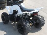 2013 Yamaha Raptor 90 - Image 4