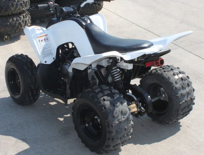 2013 Yamaha Raptor 90 - Image 4