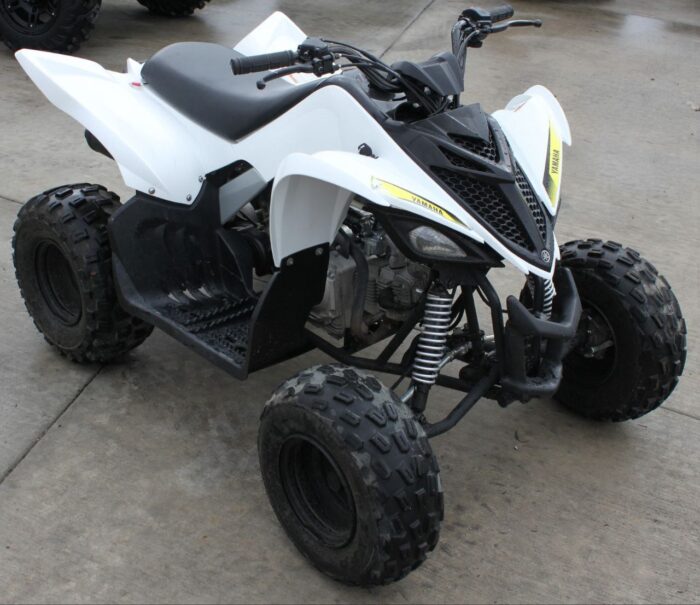 2017 Yamaha Raptor 90 - Image 6