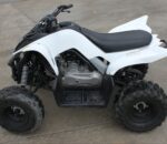 2017 Yamaha Raptor 90 - Image 8