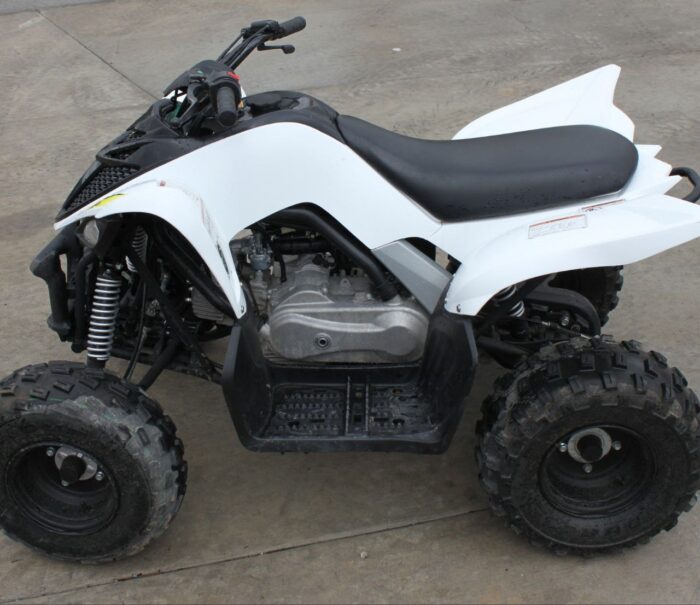 2017 Yamaha Raptor 90 - Image 8
