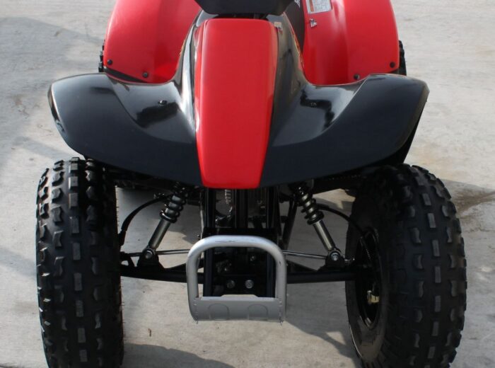 2000 Honda TRX 90 - Image 9