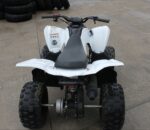 2017 Yamaha Raptor 90 - Image 2