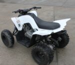 2017 Yamaha Raptor 90 - Image 4
