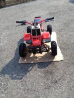 49cc Kids Gas Gas Banshee - Image 3