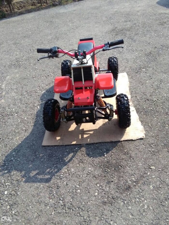 49cc Kids Gas Gas Banshee - Image 3