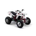 2000 YAMAHA BLASTER