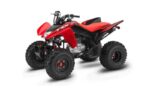 Honda trx250x