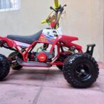 49CC GAS GAS KIDS BANSHEE - Image 14