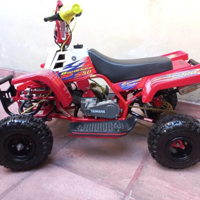 49CC GAS GAS KIDS BANSHEE - Image 15