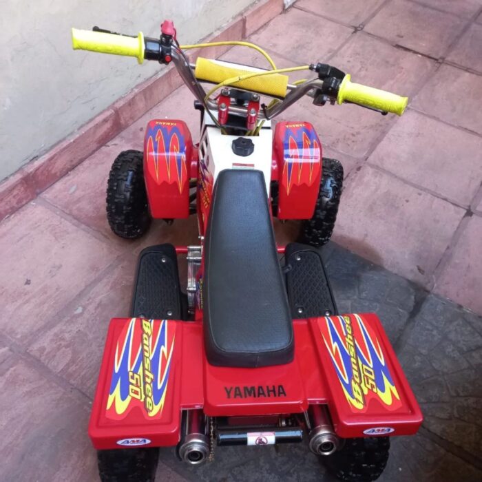 49CC GAS GAS KIDS BANSHEE - Image 13