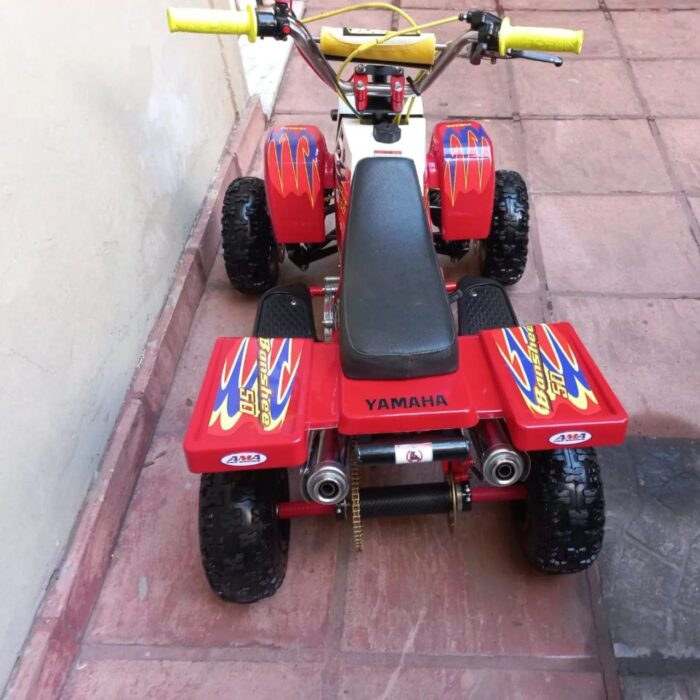 49CC GAS GAS KIDS BANSHEE - Image 7