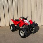 2018 Honda TRX250x - Image 4