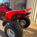 2018 Honda TRX250x - Image 6