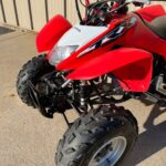 2018 Honda TRX250x - Image 2
