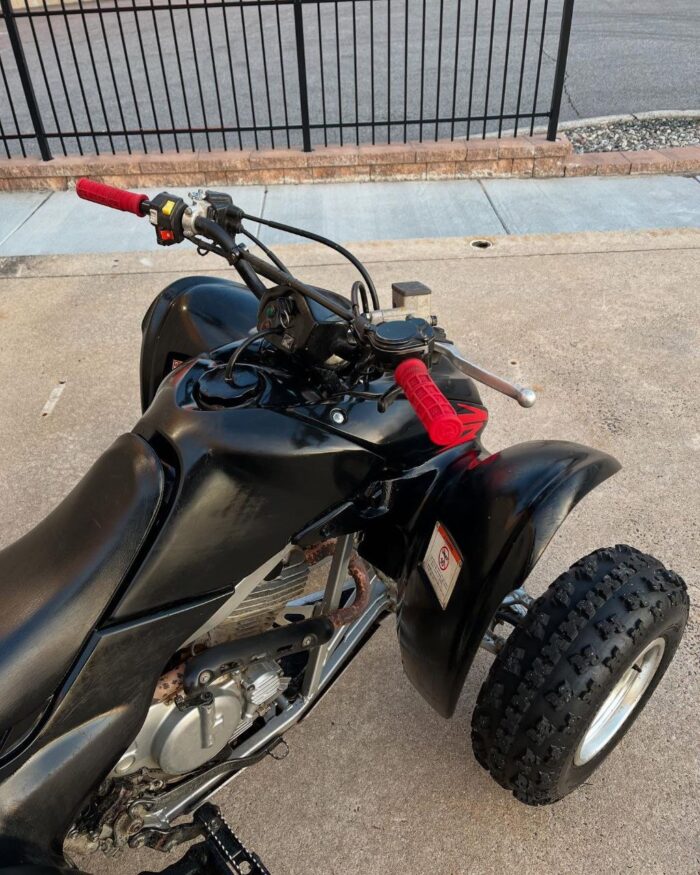 2007 Honda TRX 300ex - Image 11
