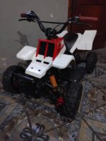 49CC 2-STROKE GAS POWERED KIDS BANSHEE ATV