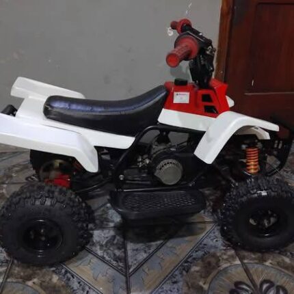 49CC 2-STROKE GAS POWERED KIDS BANSHEE ATV