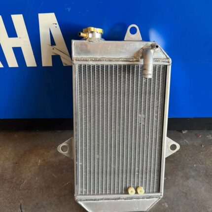 Complete banshee radiator