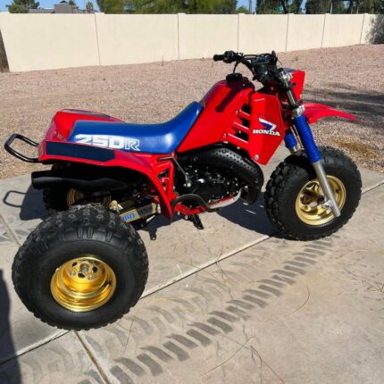 1984 HONDA ATC 250R