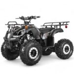 Coolster 125cc R3 Kids ATV - Image 10