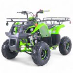 Taomotor D125 Kids ATV - Image 10
