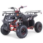 Taomotor D125 Kids ATV - Image 5