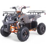 Taomotor D125 Kids ATV - Image 6