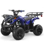 Coolster 125cc R1 Kids ATV - Image 20