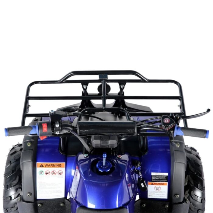 Coolster 125cc R1 Kids ATV - Image 2