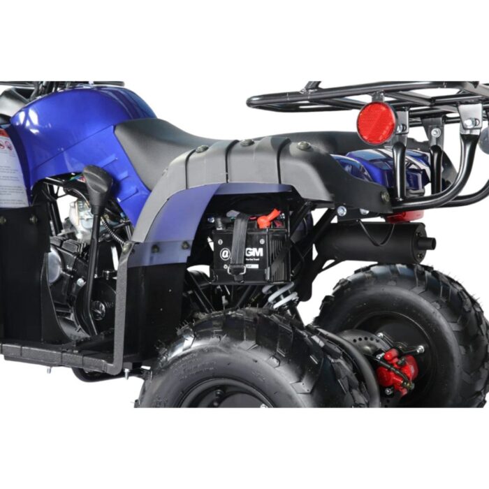 Coolster 125cc R1 Kids ATV - Image 6