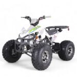 TaoMotor 125 Cheetah DLX Kids ATV - Image 10